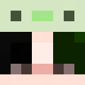 Deltawarriors's Minecraft avatar