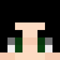 IlfrateloSollar's Minecraft avatar