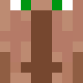 MOTOOMOTOOOO's Minecraft avatar