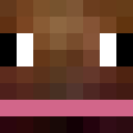 PetFoireux's Minecraft avatar