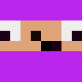 RaVaa_'s Minecraft avatar
