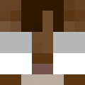 TL5's Minecraft avatar