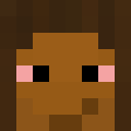 Valentin_'s Minecraft avatar
