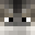 wreeper1's Minecraft avatar